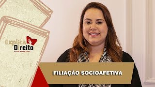 Explica Direito Filiação Socioafetiva  2019 [upl. by Yhtur]