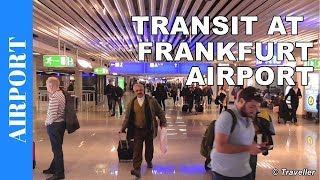 TRANSIT WALK AT FRANKFURT Airport FRA Terminal 1  Connection Flight Transfer Arriving amp Departing [upl. by Arodnap]